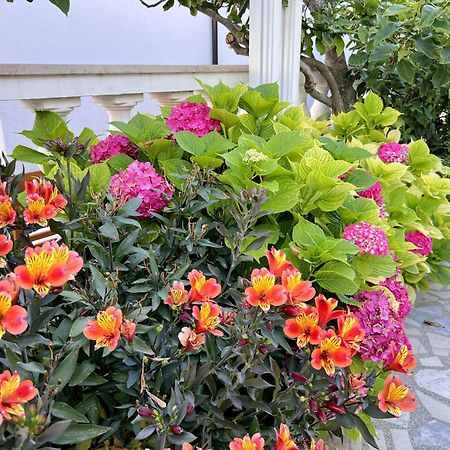 Bed & Breakfast Rab Palit 외부 사진