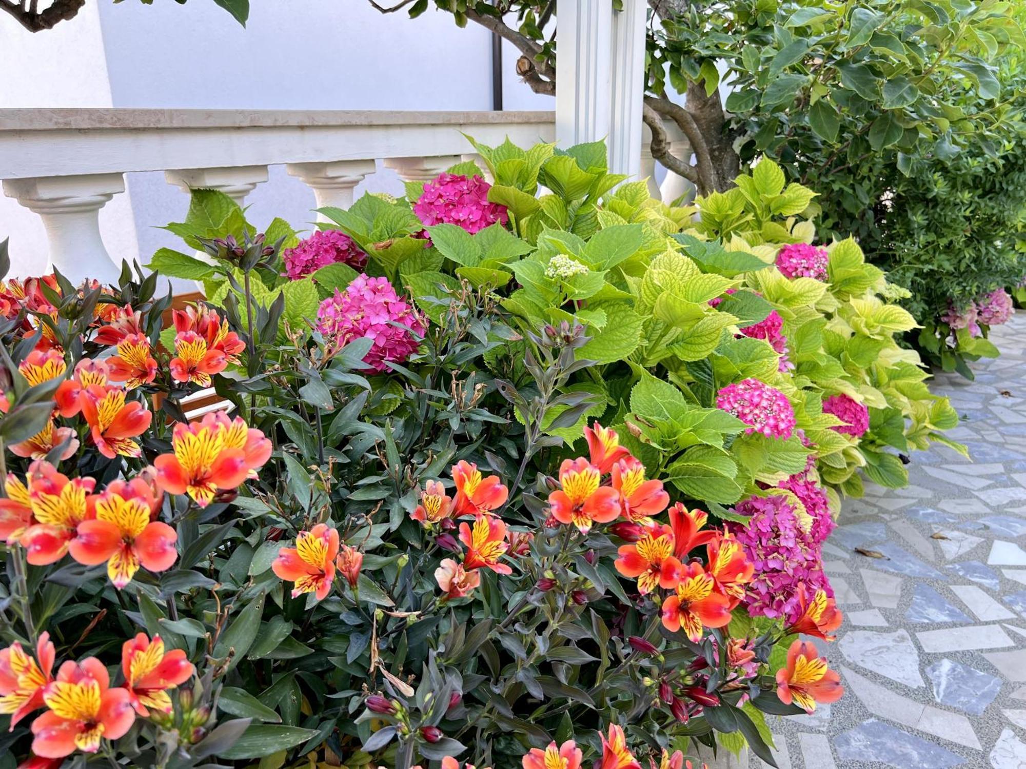 Bed & Breakfast Rab Palit 외부 사진